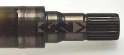spidan-25713
