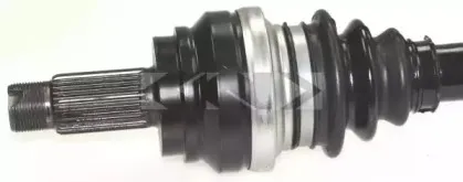 spidan-25831