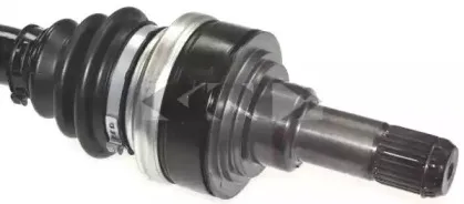 spidan-25831