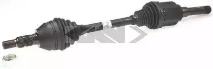spidan-25875
