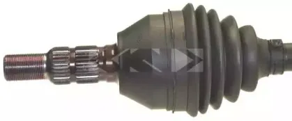 spidan-25875