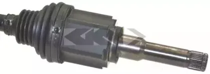spidan-25875