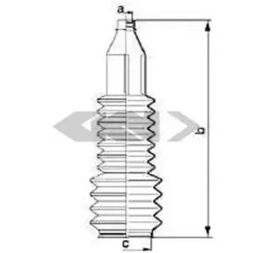 spidan-83908