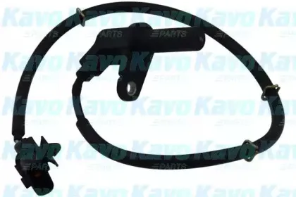 kavoparts-bas5502