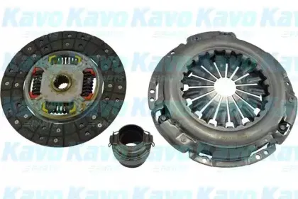 kavoparts-cp1099