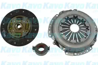 kavoparts-cp1137