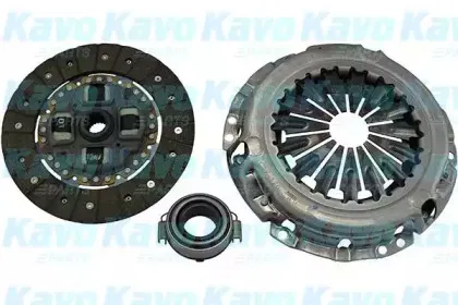 kavoparts-cp1143