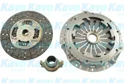 kavoparts-cp1164