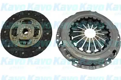 kavoparts-cp1171
