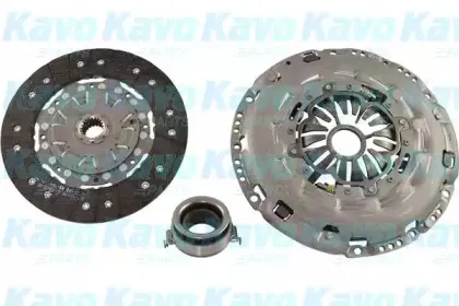 kavoparts-cp1197