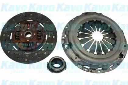 kavoparts-cp1213