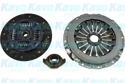 kavoparts-cp1516