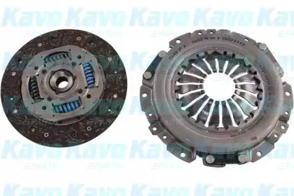 kavoparts-cp2141