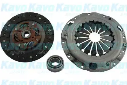 kavoparts-cp4081