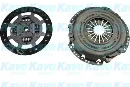 kavoparts-cp5036
