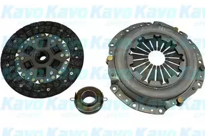 kavoparts-cp6005