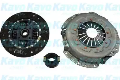 kavoparts-cp6034