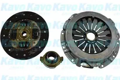 kavoparts-cp6036