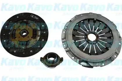 kavoparts-cp6037