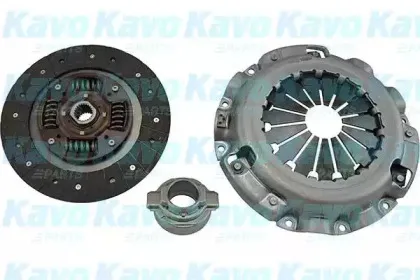 kavoparts-cp6043