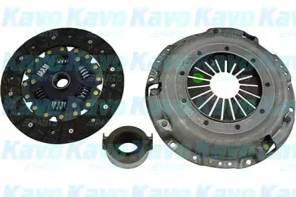 kavoparts-cp8010