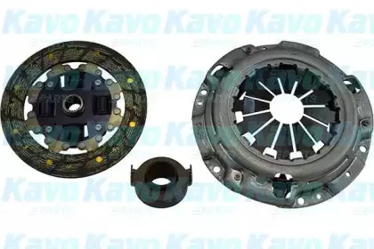 kavoparts-cp8051