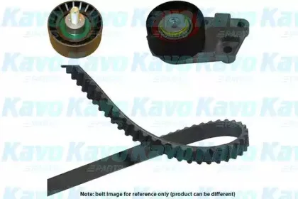 kavoparts-dkt1001