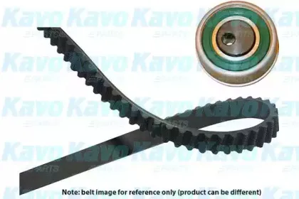 kavoparts-dkt3013