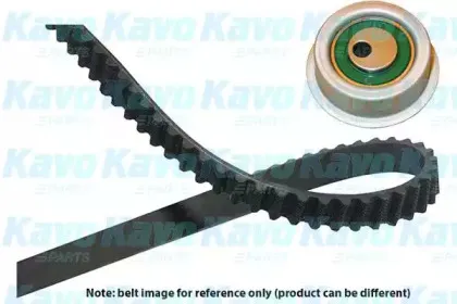kavoparts-dkt5501