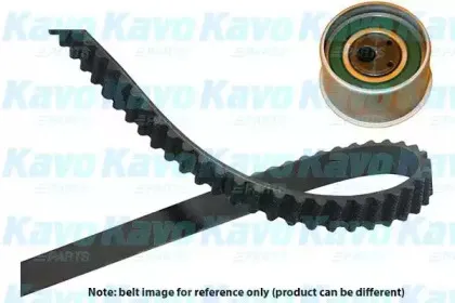 kavoparts-dkt5512