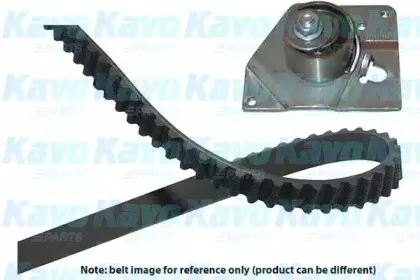 DKT-5520 KAVO PARTS Комплект ремня ГРМ