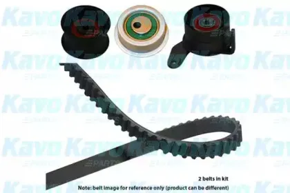 kavoparts-dkt5524