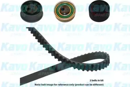 kavoparts-dkt5545