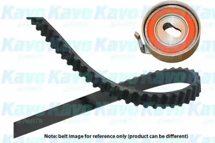 kavoparts-dkt6513