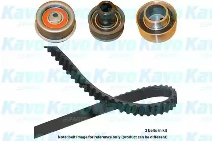 kavoparts-dkt6521