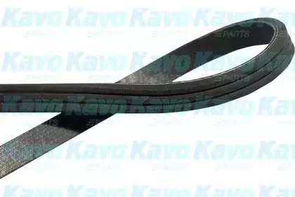 kavoparts-dmv2003