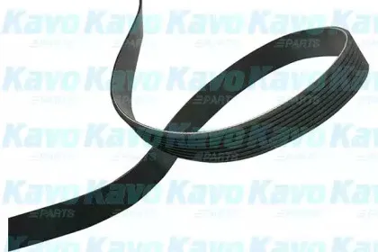 kavoparts-dmv4533