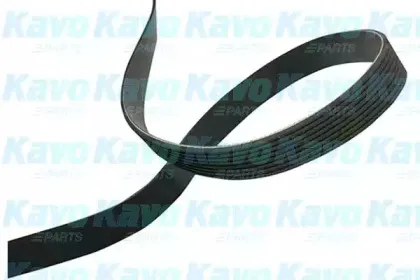 kavoparts-dmv4540