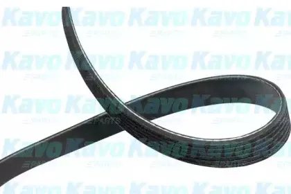 kavoparts-dmv4550