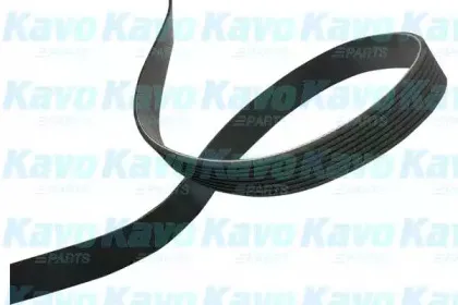 kavoparts-dmv4570