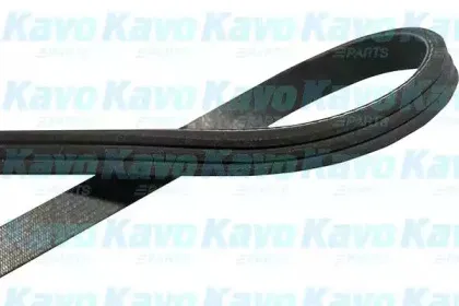 kavoparts-dmv6549