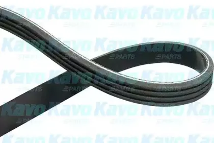 kavoparts-dmv6550
