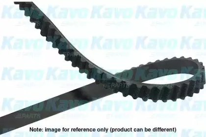 kavoparts-dtb1003