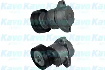 kavoparts-dtp1001