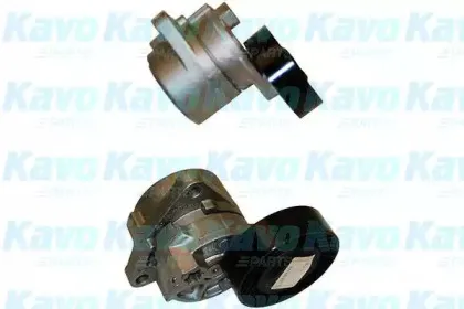 DTP-3009 KAVO PARTS