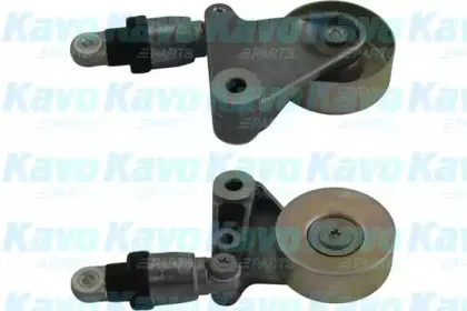 kavoparts-dtp6513