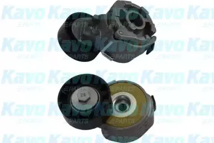 kavoparts-dtp8512