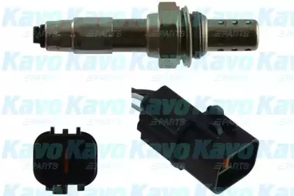 kavoparts-eos5541