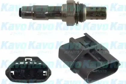 kavoparts-eos6521