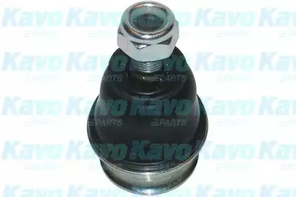 kavoparts-sbj3004